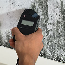mold testing wall