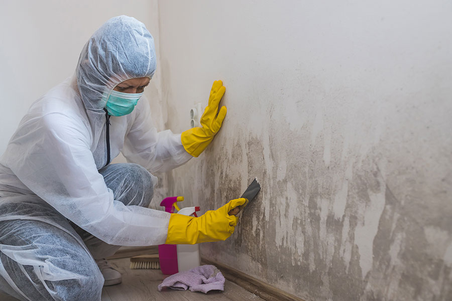 Common Signs and Symptoms of Mold Contamination in Homes and Buildings