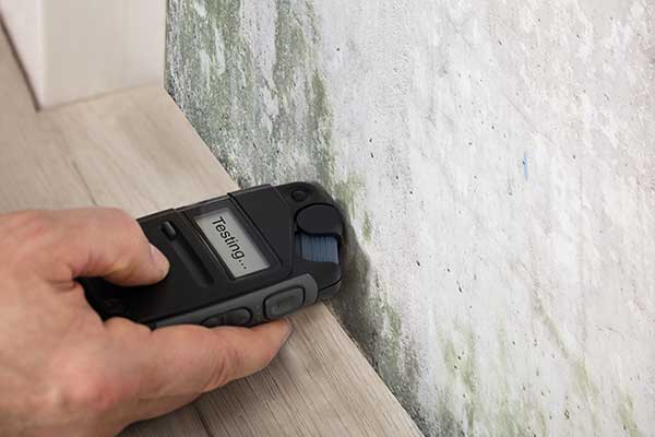How Mold Clearance Testing Can Save Your Home (and Health)