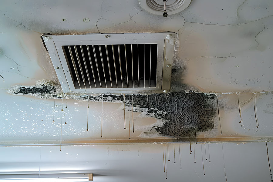 Air Conditioning and Mold: 10 Clear Signs You May Have Mold in Your HVAC