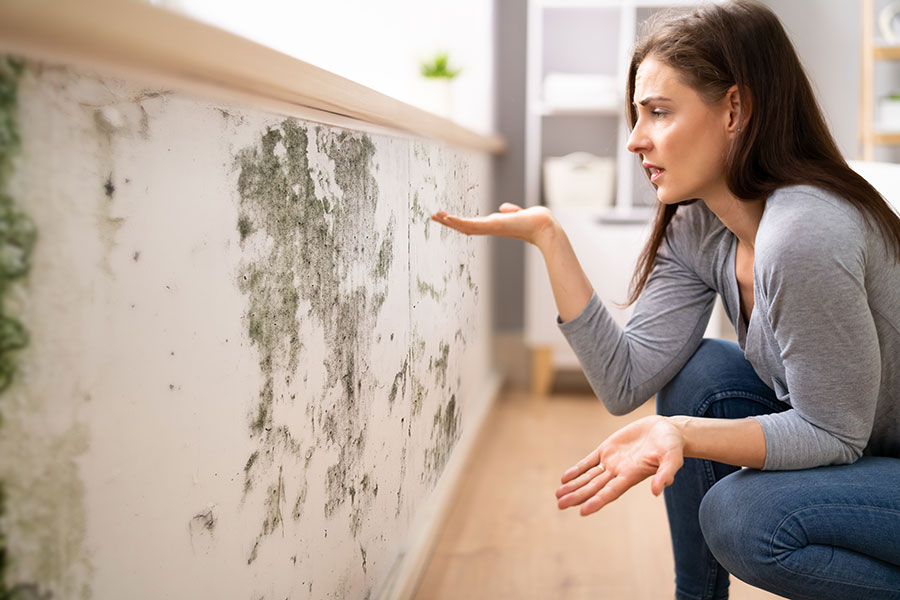 The Hidden Dangers of Mold in Homes: Could It Be Lurking in Yours?