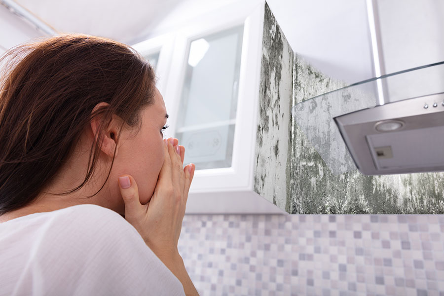 Why Mold and Mildew Thrive in San Diego Homes During Summer